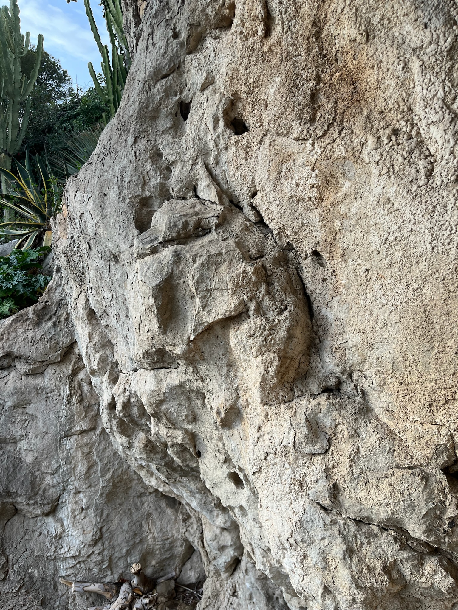 Chantier Roucas - Photo 123